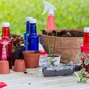plastic bottles and plants for terrariums made from recyclable materials