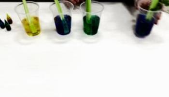 Transpiration